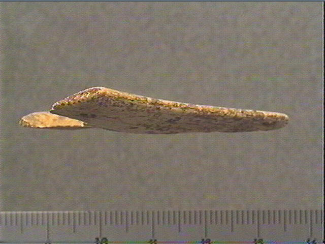 Contour découpé, os hyoïde_2