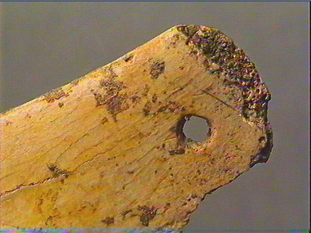 Contour découpé, os hyoïde_5
