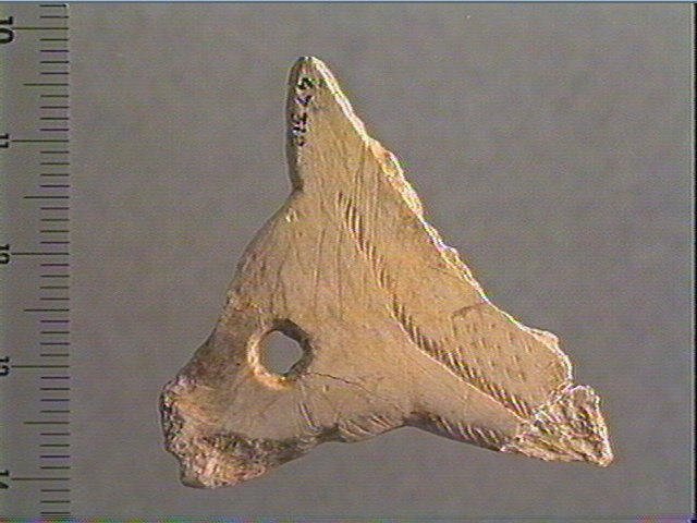 Contour découpé_0