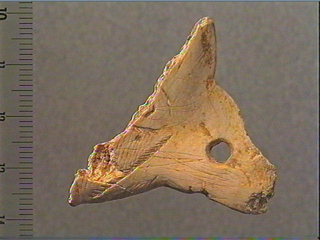 Contour découpé_1