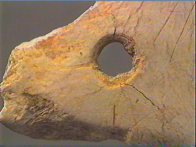 Contour découpé_2