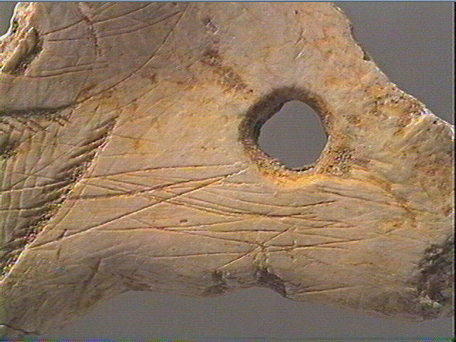 Contour découpé_5