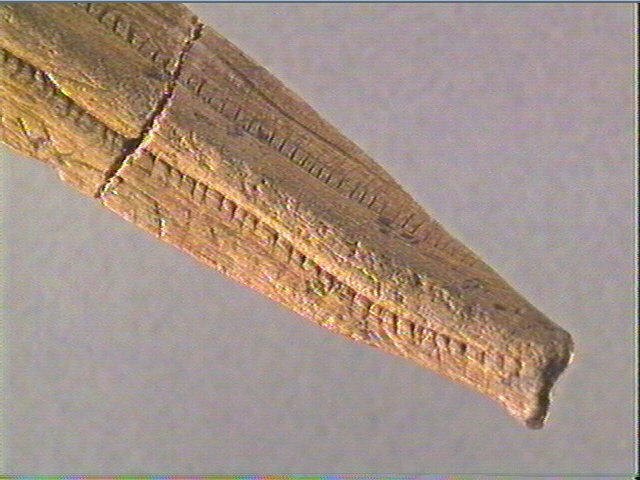 Objet indéterminé_4