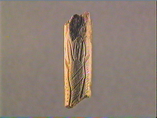 Baguette demi-ronde_0