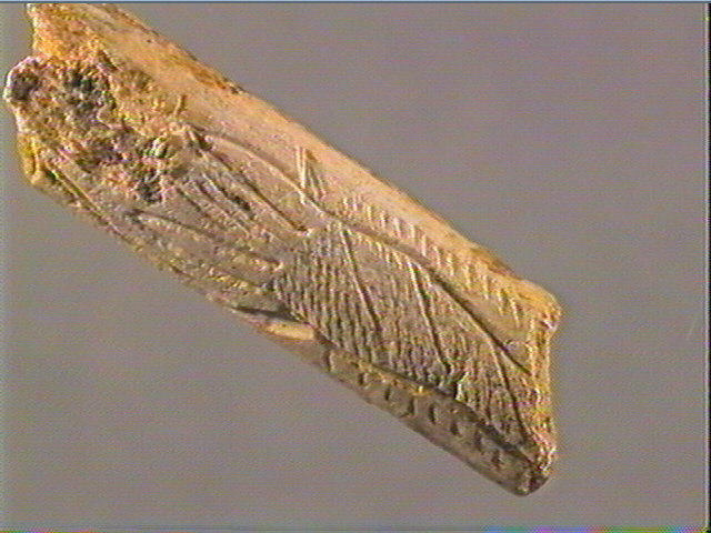 Baguette demi-ronde_2