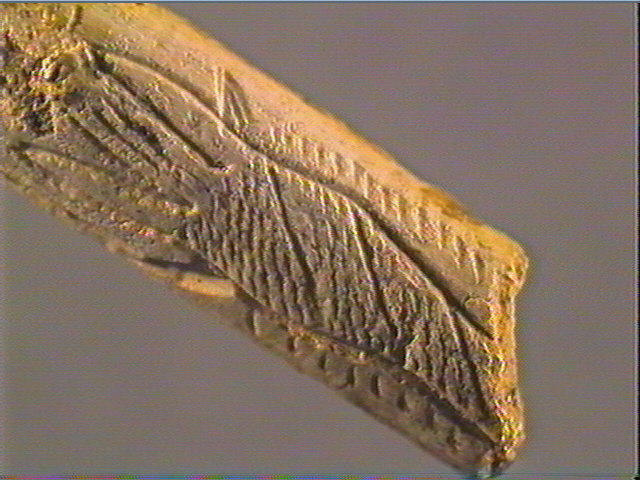 Baguette demi-ronde_3