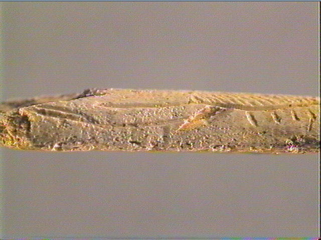 Baguette demi-ronde_4