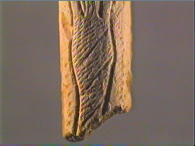 Baguette demi-ronde_5