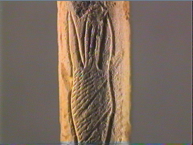Baguette demi-ronde_6