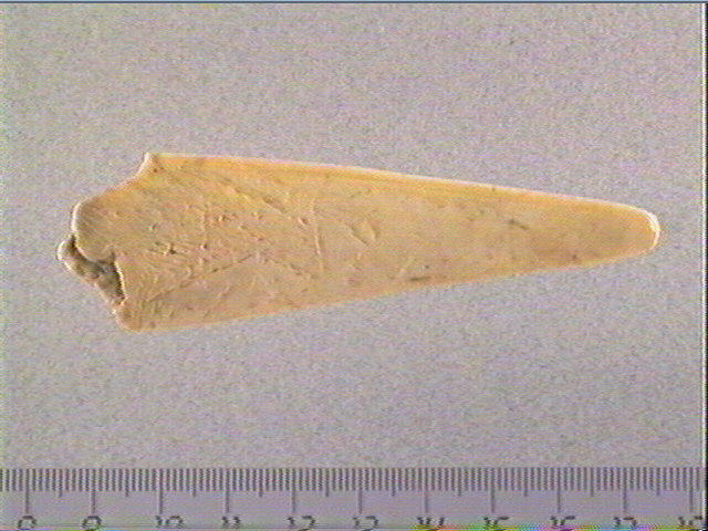 Lissoir_0