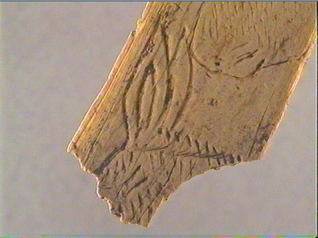 Côte_6