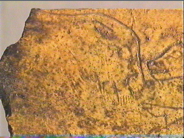 Os indéterminé_4