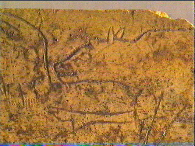 Os indéterminé_6