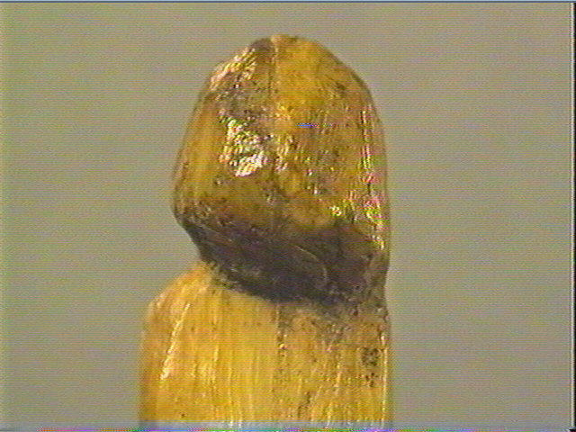 La fillette ; La poupée_4