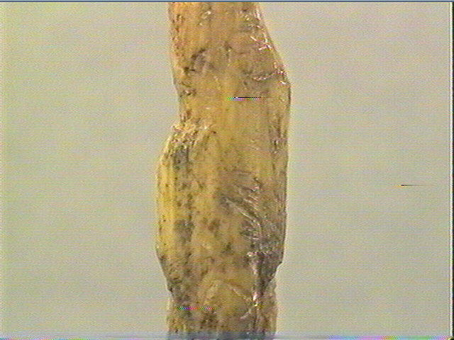 La fillette ; La poupée_6