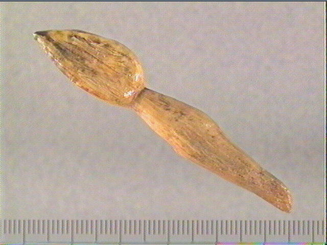Pendeloque_0