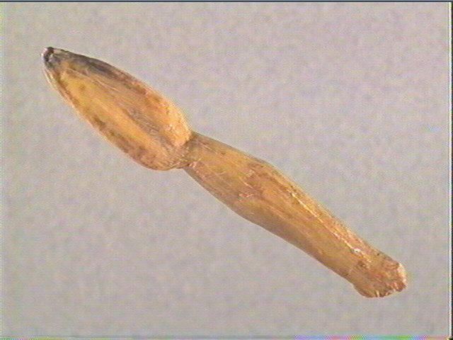 Pendeloque_3