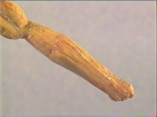 Pendeloque_6