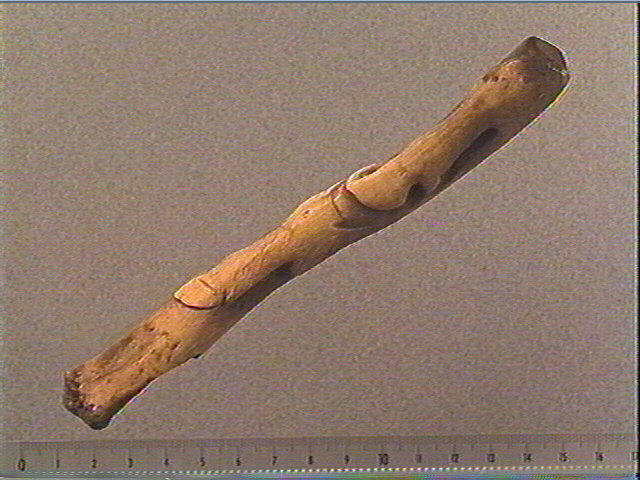Baguette, bâton percé_0