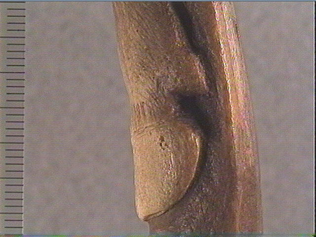 Baguette, bâton percé_3