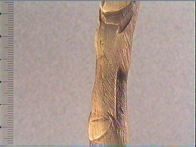 Baguette, bâton percé_4