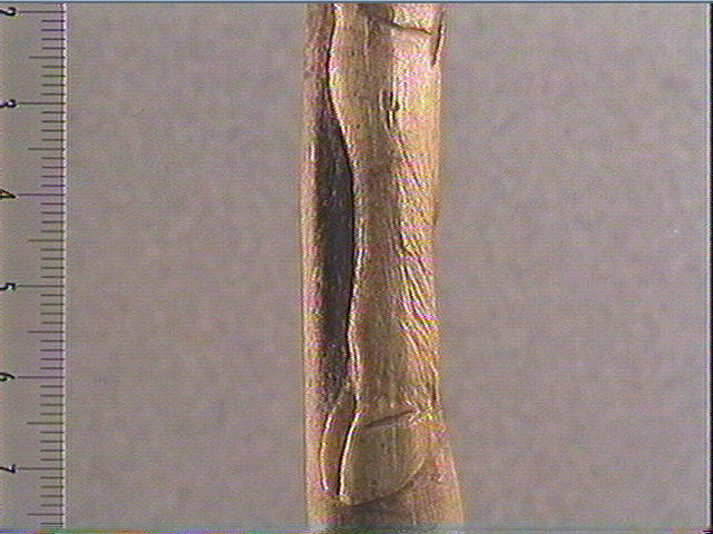 Baguette, bâton percé_5