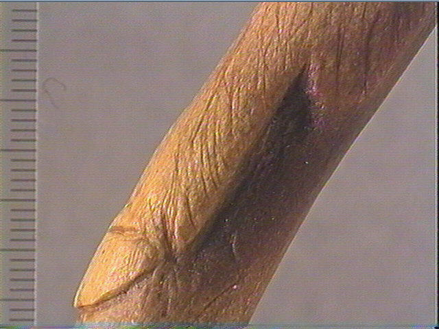 Baguette, bâton percé_6