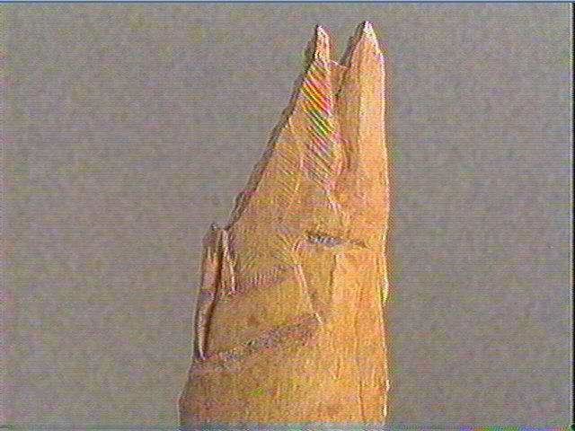 Os indéterminé_2