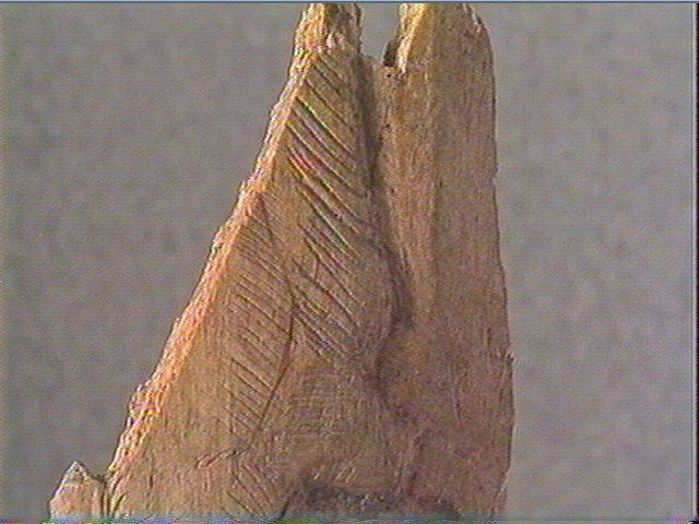 Os indéterminé_3