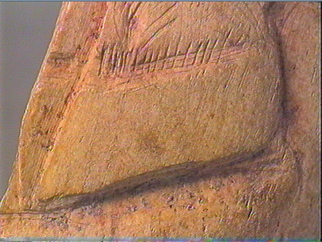Os indéterminé_5