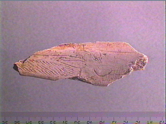 Côte_0