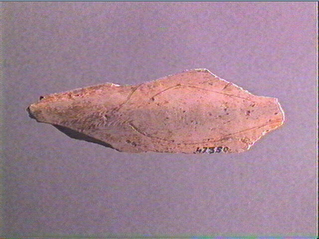 Côte_2