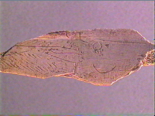 Côte_3