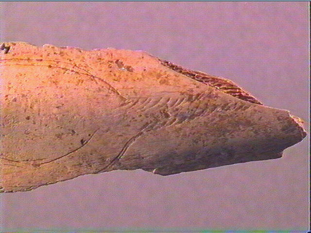 Côte_6