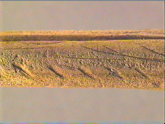 Bâton percé_6