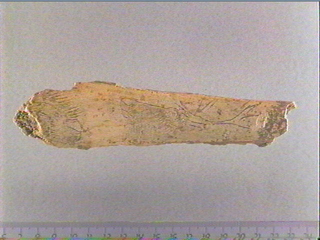 Côte_0