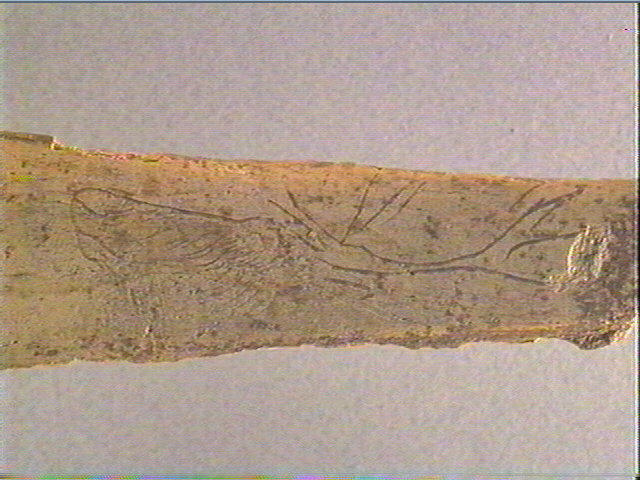 Côte_3