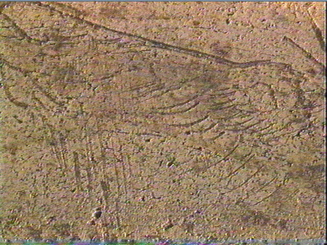 Côte_4