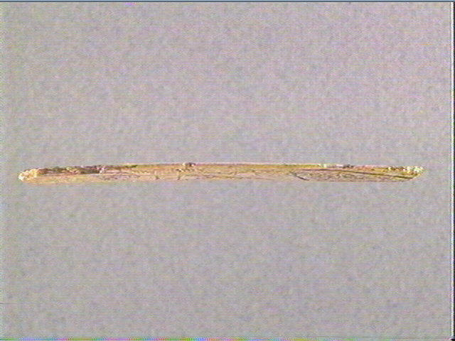 Lissoir_1