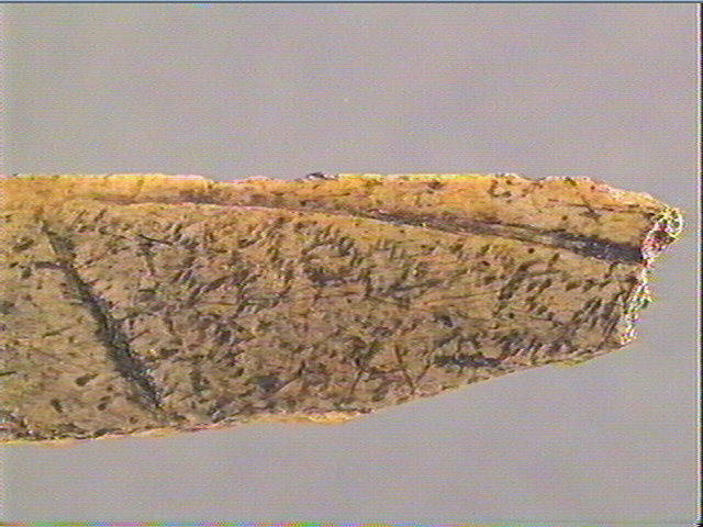 Lissoir_6