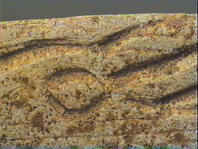 Lissoir_3