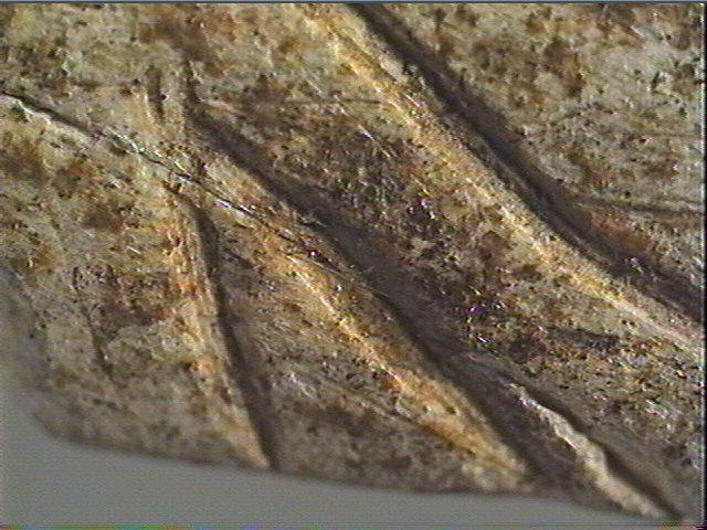 Lissoir_4