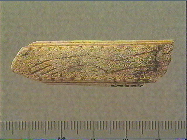 Baguette demi-ronde_0