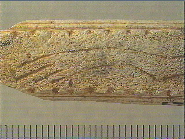 Baguette demi-ronde_1
