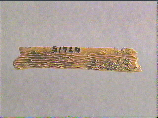 Lissoir_2