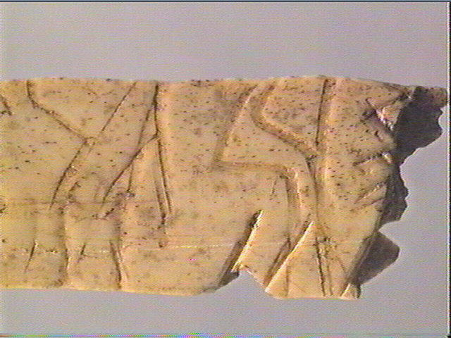 Lissoir_6