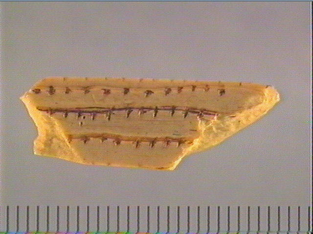 Objet indéterminé_0