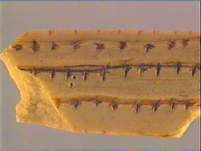 Objet indéterminé_5