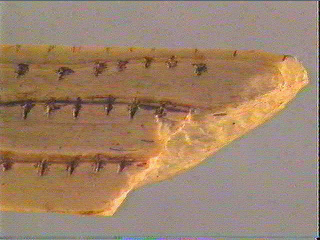 Objet indéterminé_6