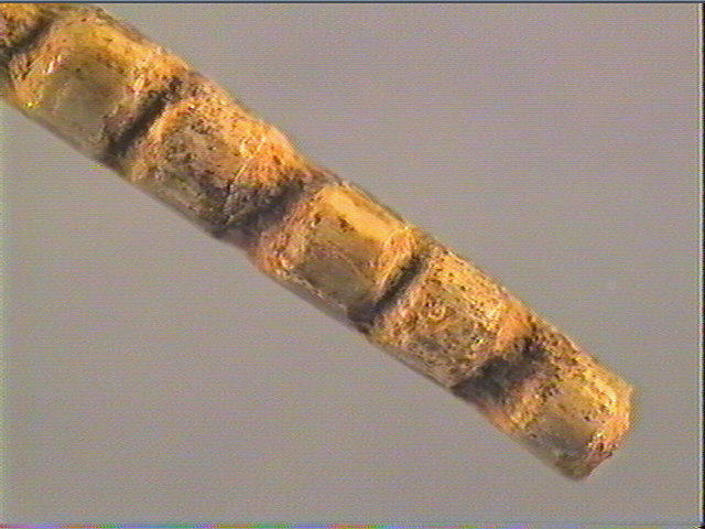 Baguette_6